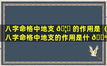 八字命格中地支 🦟 的作用是（八字命格中地支的作用是什 🌺 么）